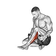 Peroneals stretch demonstration