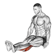 Seated calf stretch demonstration