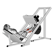 Sled calf press on leg press demonstration