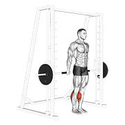 Smith reverse calf raises demonstration