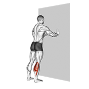 Standing calves demonstration