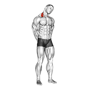 Neck side stretch demonstration