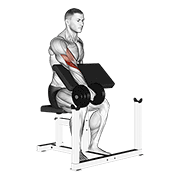 Dumbbell one arm reverse preacher curl demonstration