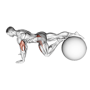 Exercise ball one leg prone lower body rotation demonstration