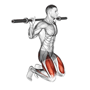 Kneeling jump squat demonstration