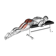 Reverse hyper on flat bench demonstration