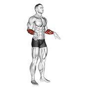 Wrist circles demonstration