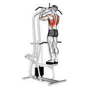 Assisted standing chin-up demonstration