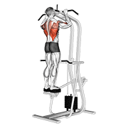 Assisted standing pull-up demonstration