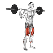 Barbell low bar squat demonstration
