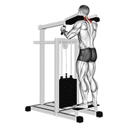 Lever gripless shrug v. 2 demonstration