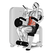 Lever seated crunch demonstration