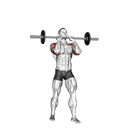 Barbell standing close grip military press demonstration