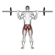 Barbell full squat (back pov) demonstration