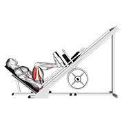 Sled 45° leg press (side pov) demonstration