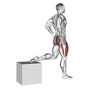 One leg squat demonstration