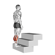 Standing calf raise (on a staircase) demonstration