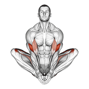 Butterfly yoga pose demonstration