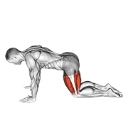 All fours squad stretch demonstration