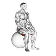 Exercise ball seated hamstring stretch demonstration