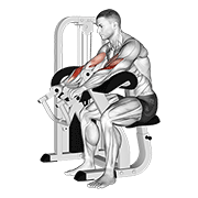 Lever reverse grip preacher curl demonstration
