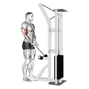 Cable close grip curl demonstration