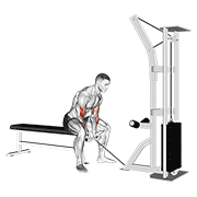 Cable concentration curl demonstration