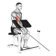 Cable one arm preacher curl demonstration