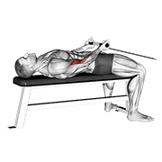 Cable lying bicep curl demonstration