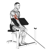 Cable one arm reverse preacher curl demonstration