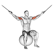 Cable overhead curl on exercise ball demonstration