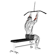 Cable pulldown bicep curl demonstration