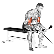 Cable seated curl demonstration