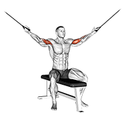 Cable seated overhead curl demonstration