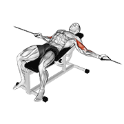 Cable two arm curl on incline bench demonstration