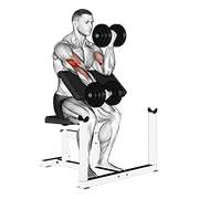 Dumbbell alternate preacher curl demonstration