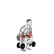 Dumbbell biceps curl squat demonstration