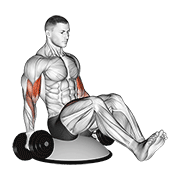 Dumbbell biceps curl v sit on bosu ball demonstration