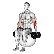 Dumbbell hammer curl on exercise ball demonstration