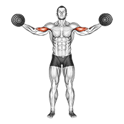 Dumbbell high curl demonstration