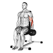 Dumbbell one arm seated hammer curl demonstration
