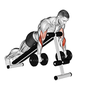 Dumbbell reverse spider curl demonstration