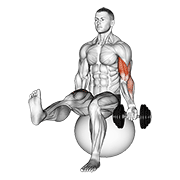 Dumbbell seated one arm bicep curl on exercise ball with leg raised demonstration