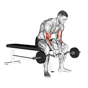 Ez bar seated close grip concentration curl demonstration