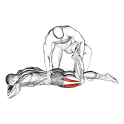 Assisted prone lying quads stretch demonstration