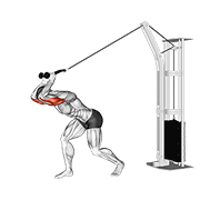 Cable high pulley overhead tricep extension demonstration