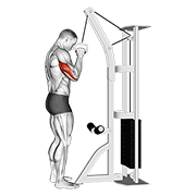 Cable one arm tricep pushdown demonstration