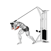 Cable rope high pulley overhead tricep extension demonstration