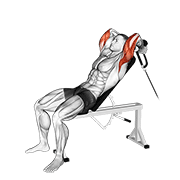Cable rope incline tricep extension demonstration