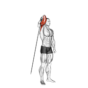 Cable standing reverse grip one arm overhead tricep extension demonstration